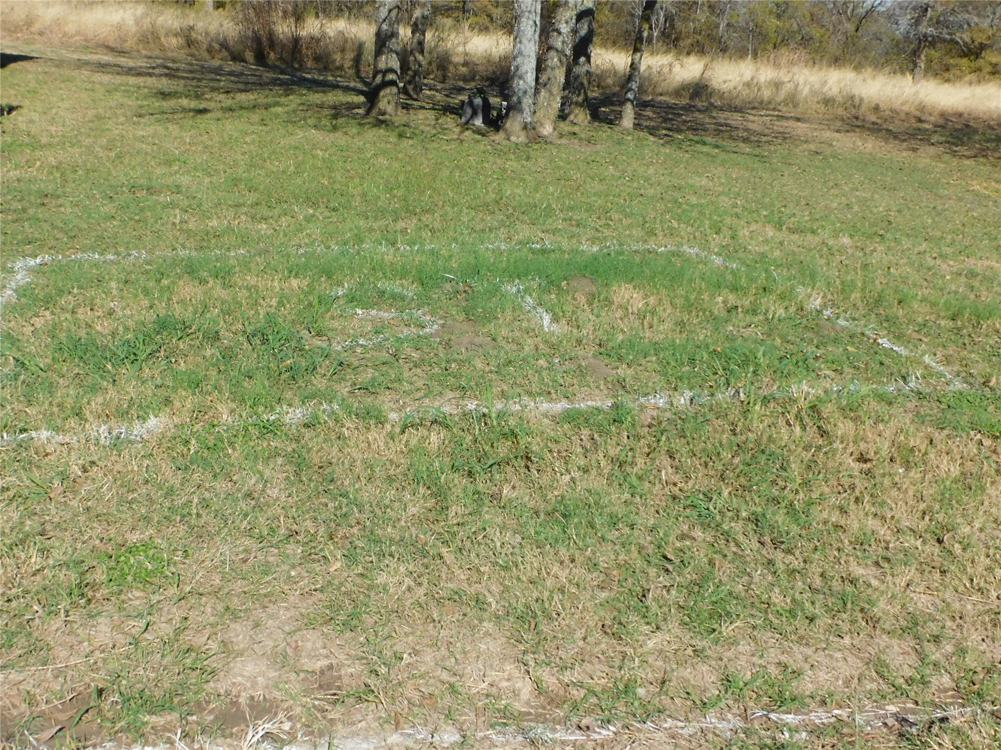 233 Hcr 3315 Hubbard TX 76648