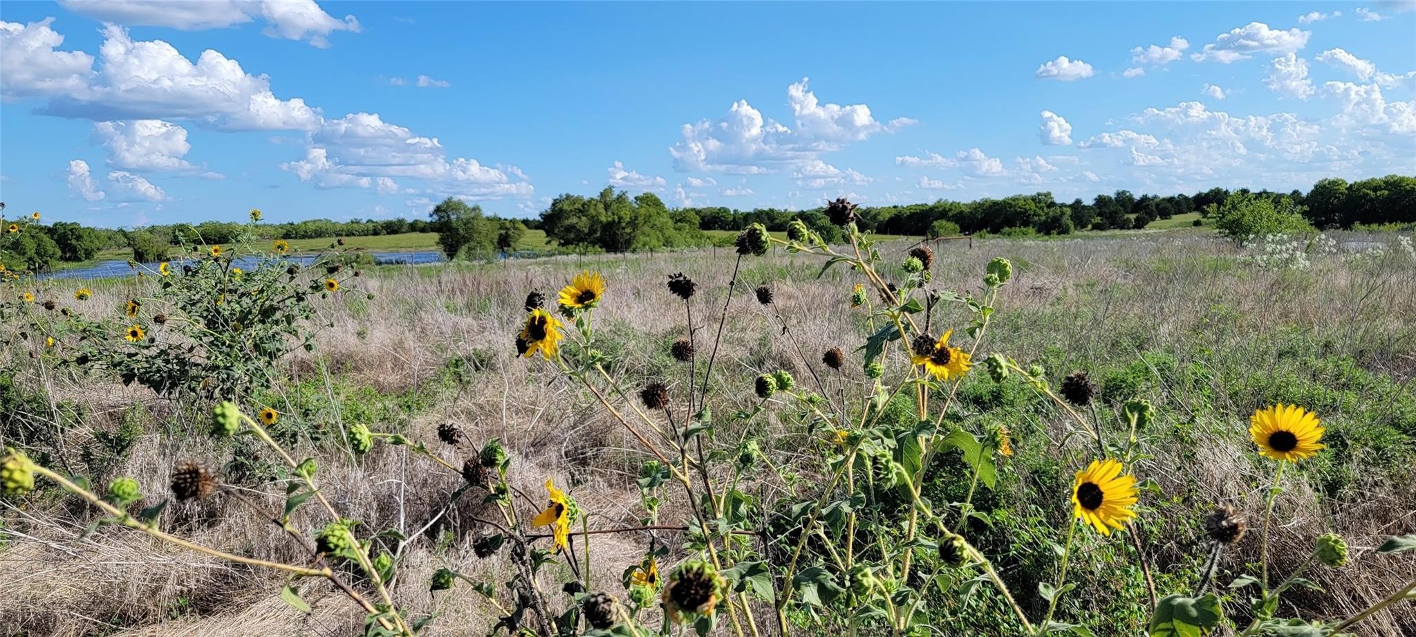 0 Co Road 4106 Road Kaufman TX 75142