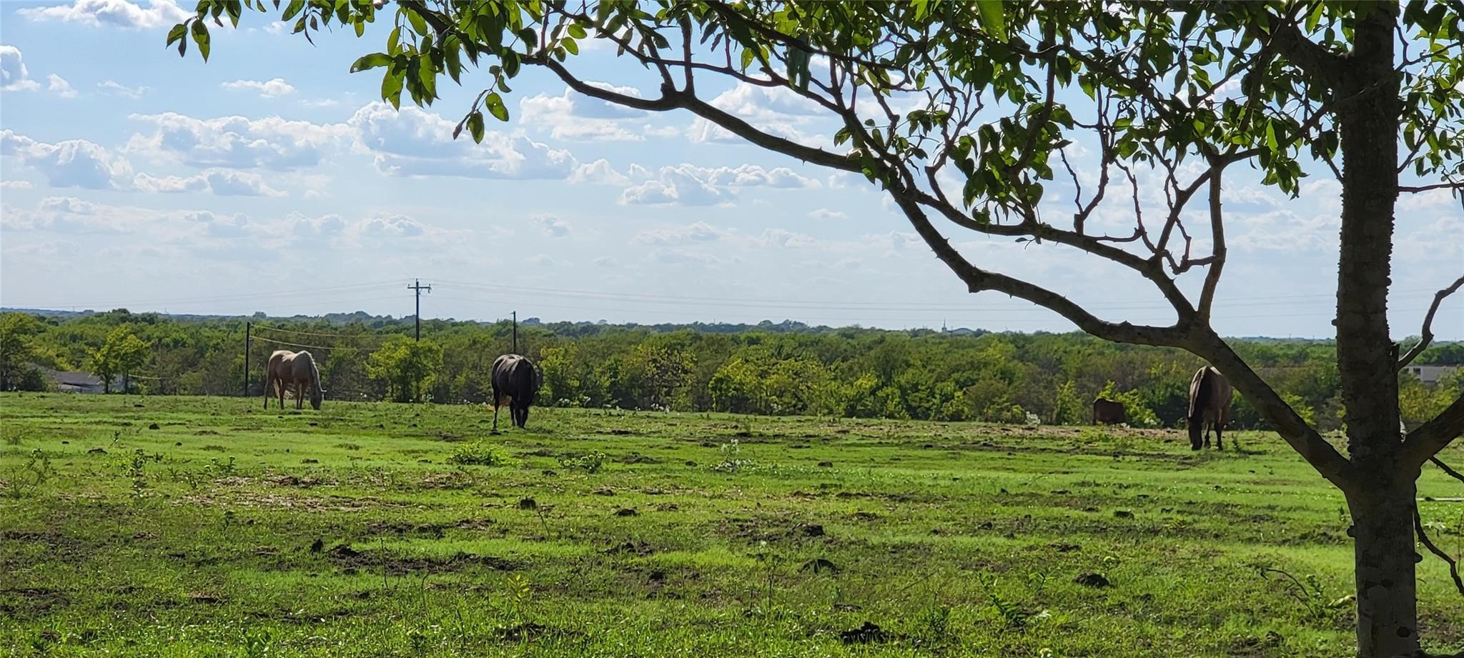 0 Co Road 4106 Road Kaufman TX 75142