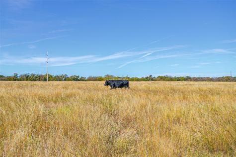 Tract 2 County Road 410 Road Alvarado TX 76009
