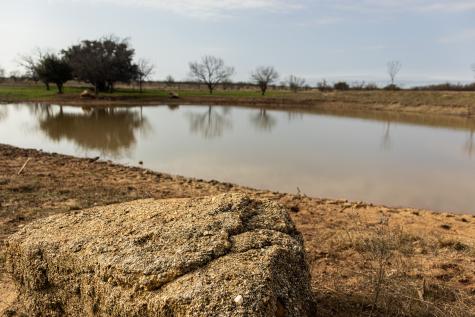 1950 Hamilton Road Graham TX 76450