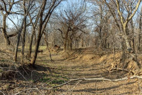 1950 Hamilton Road Graham TX 76450