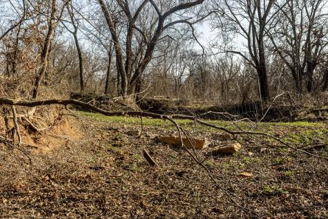 1950 Hamilton Road Graham TX 76450