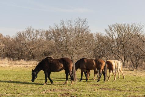 1950 Hamilton Road Graham TX 76450