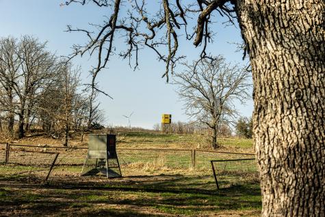 1950 Hamilton Road Graham TX 76450