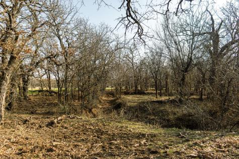 1950 Hamilton Road Graham TX 76450
