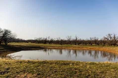 1950 Hamilton Road Graham TX 76450