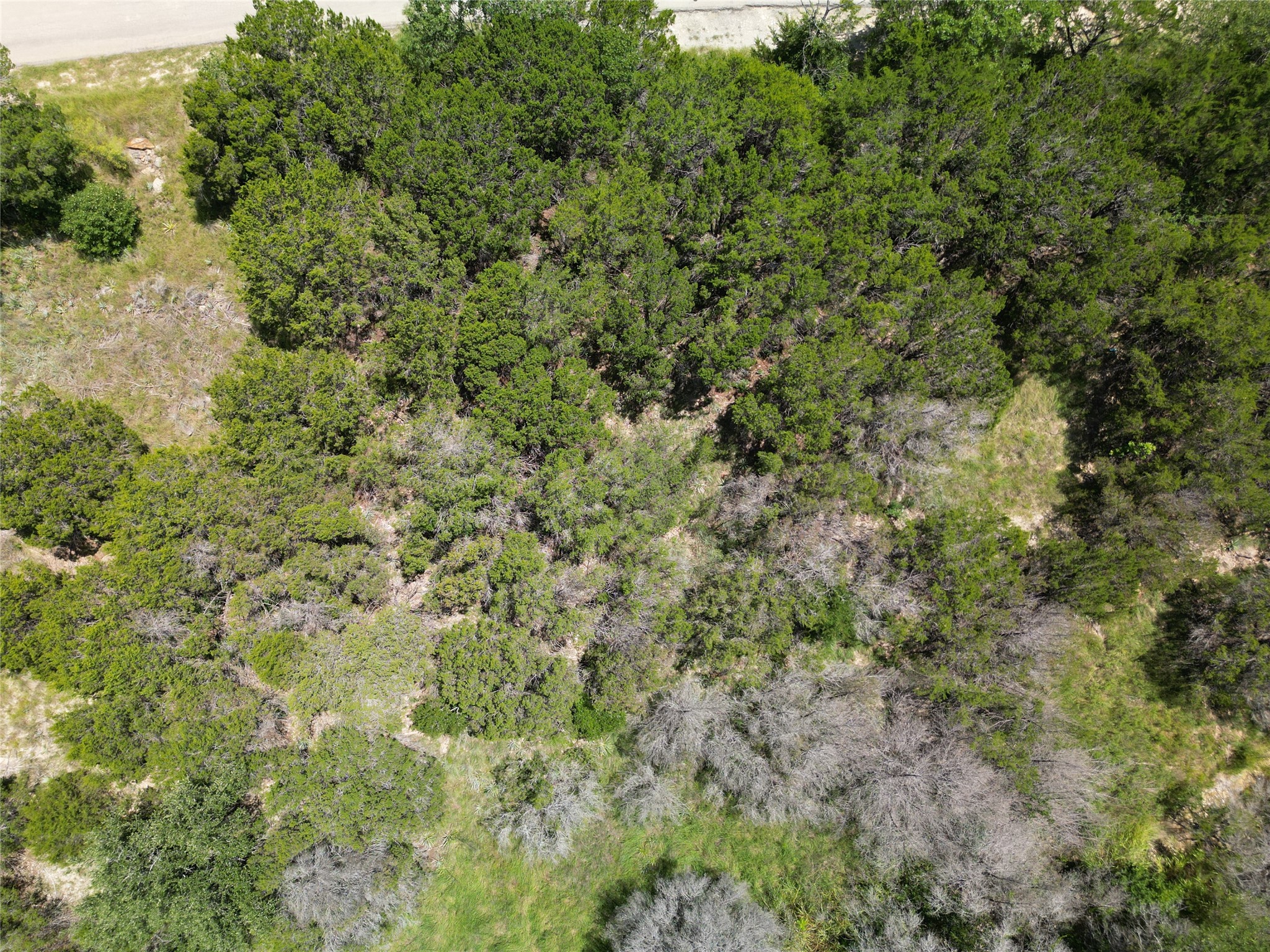 2617 Steepleridge Circle Granbury TX 76048