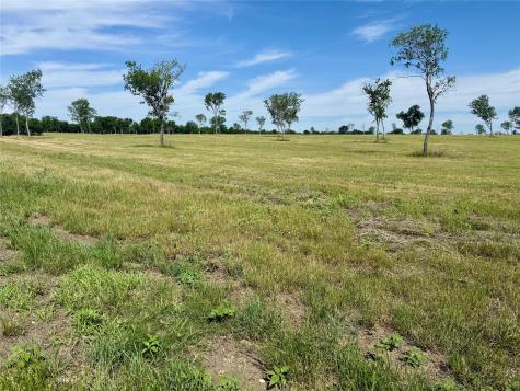 Lot 153 Waterfront Club Drive Corsicana TX 75109