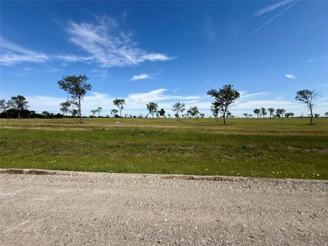 Lot 153 Waterfront Club Drive Corsicana TX 75109