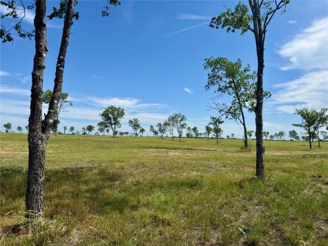 Lot 153 Waterfront Club Drive Corsicana TX 75109