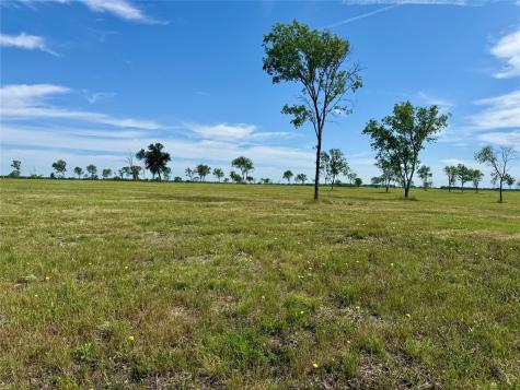 Lot 153 Waterfront Club Drive Corsicana TX 75109