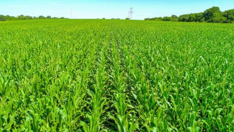 Tbd Cr 459 Eddy TX 76524