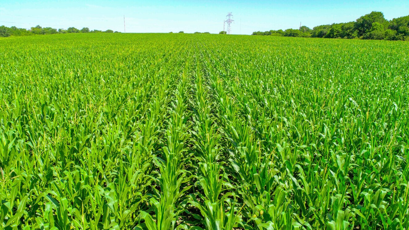 Tbd Cr 459 Eddy TX 76524