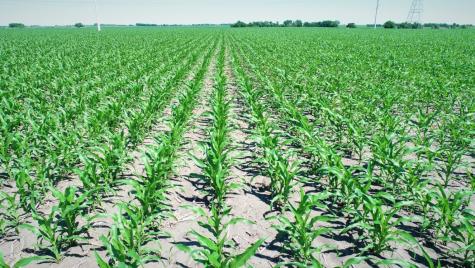 Tbd Cr 459 Eddy TX 76524