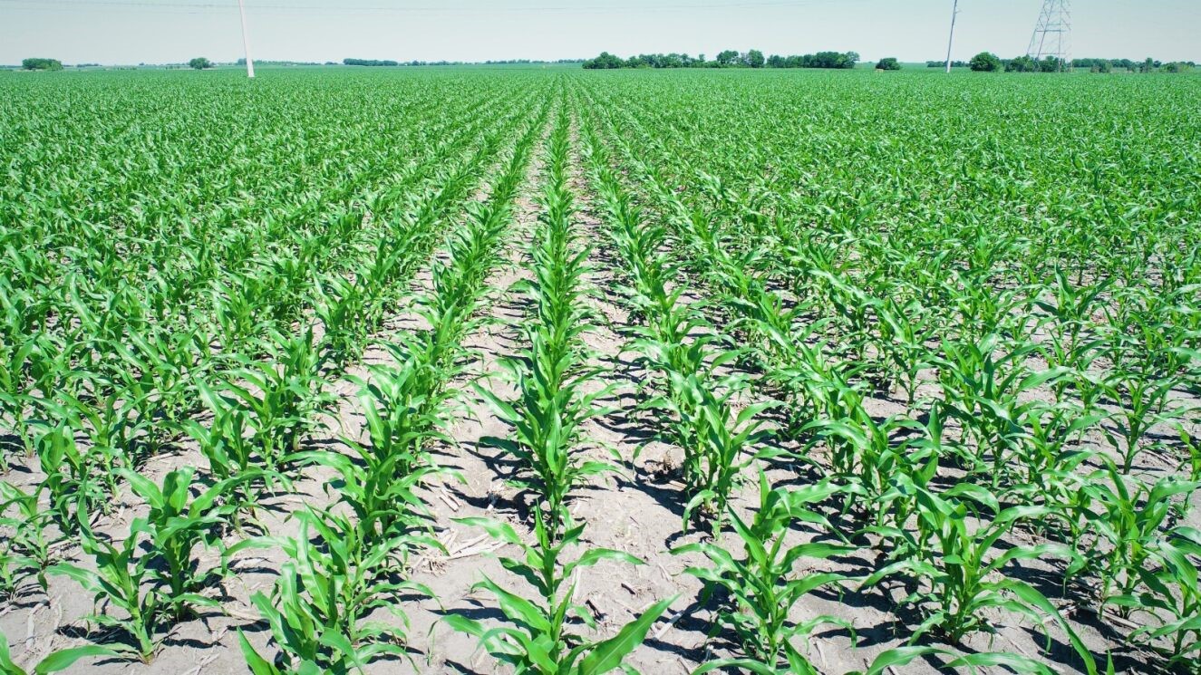 Tbd Cr 459 Eddy TX 76524