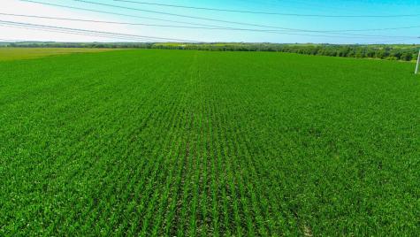 Tbd Cr 459 Eddy TX 76524
