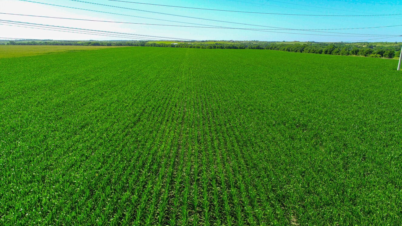 Tbd Cr 459 Eddy TX 76524