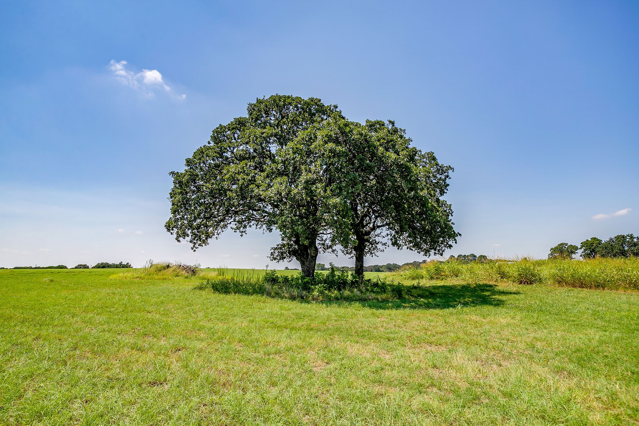 601 Cr-805 Keene TX 76031