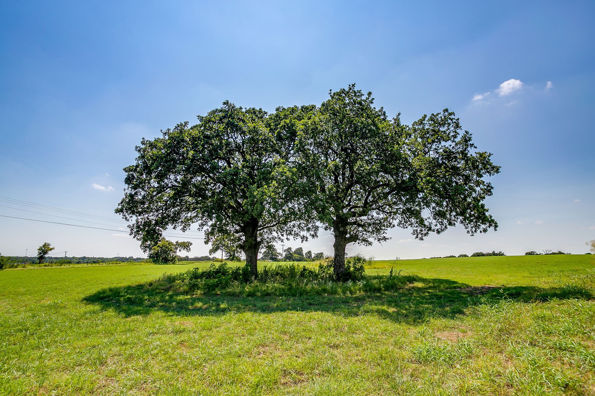 601 Cr-805 Keene TX 76031