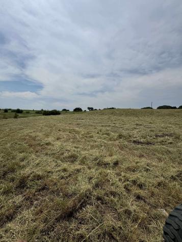 318 Grand Canyon Drive Oglesby TX 76561