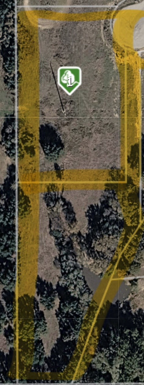136 Aslan Road Poolville TX 76487