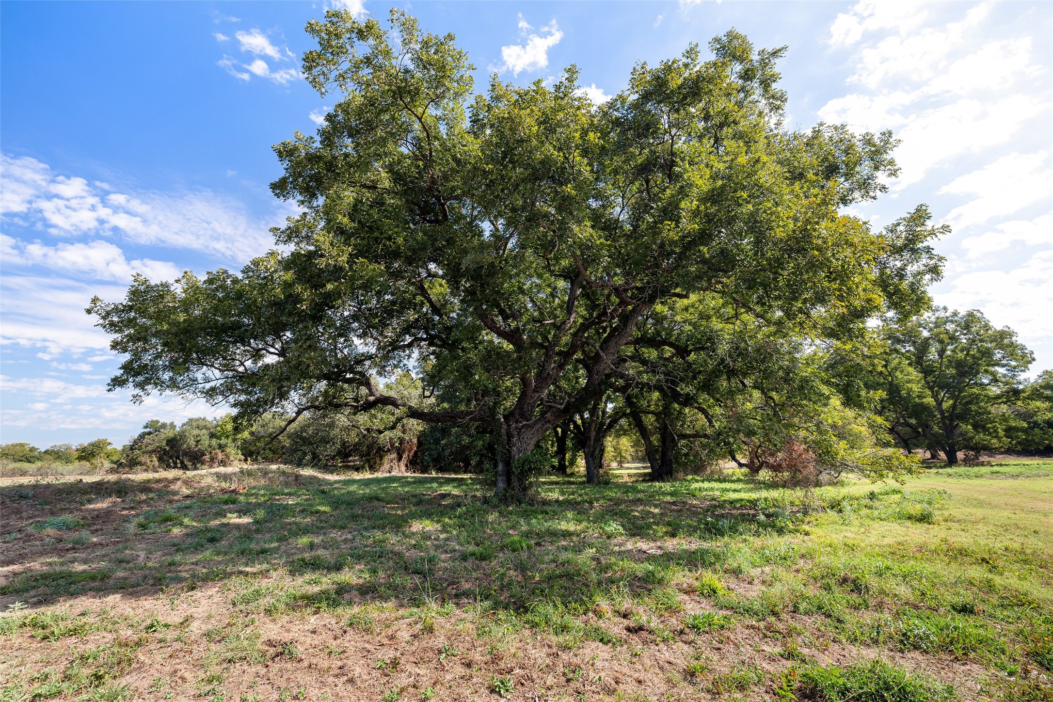 2740 Overton Court Granbury TX 76048