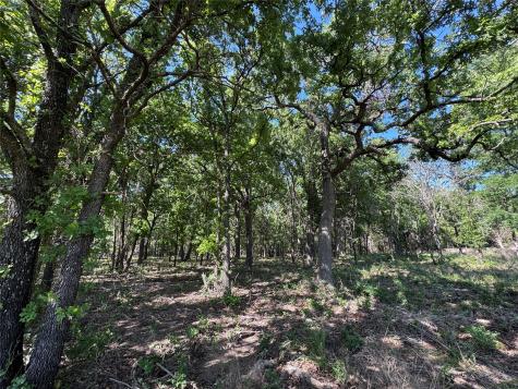 144 Cedar Oak Drive Decatur TX 76234