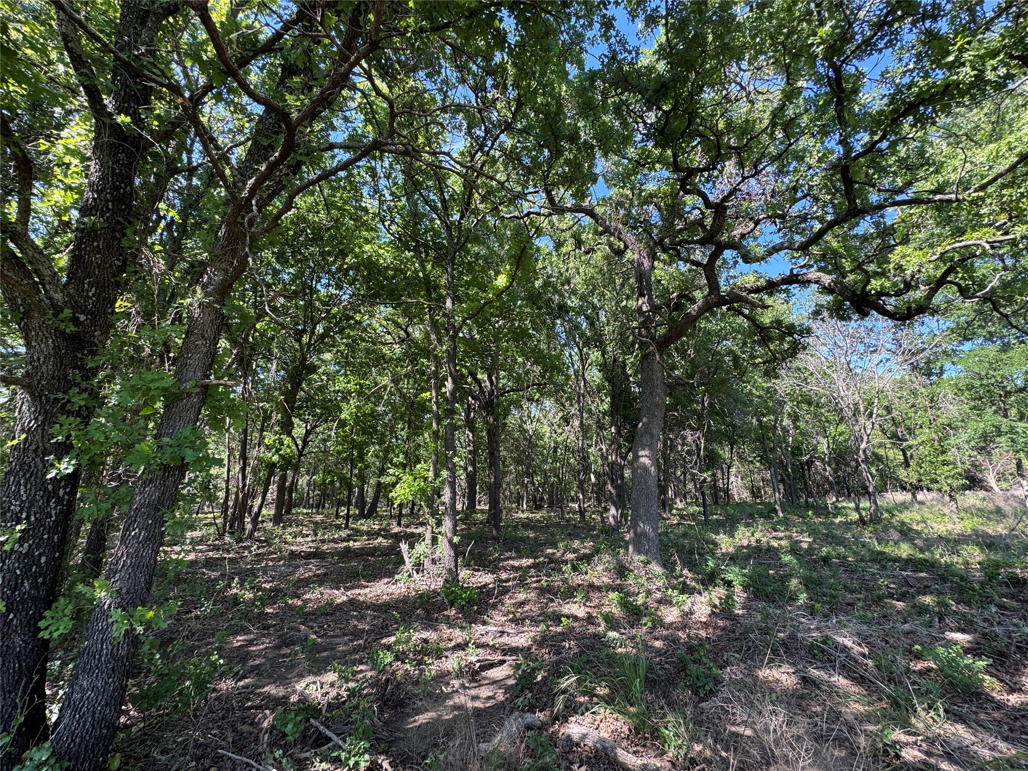 144 Cedar Oak Drive Decatur TX 76234