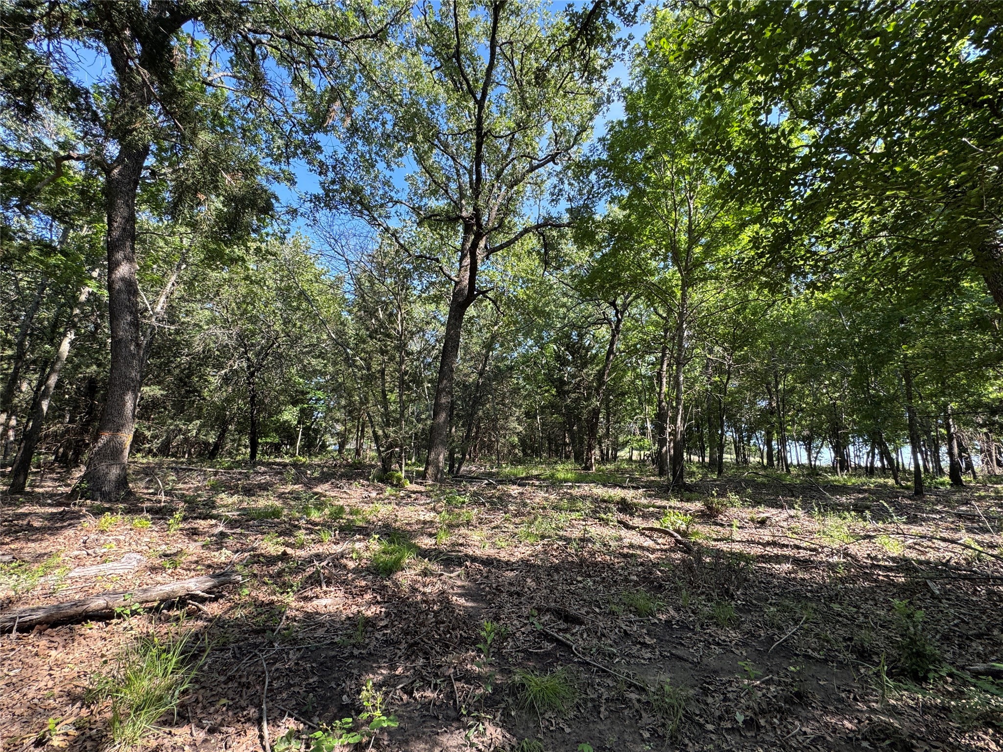 144 Cedar Oak Drive Decatur TX 76234