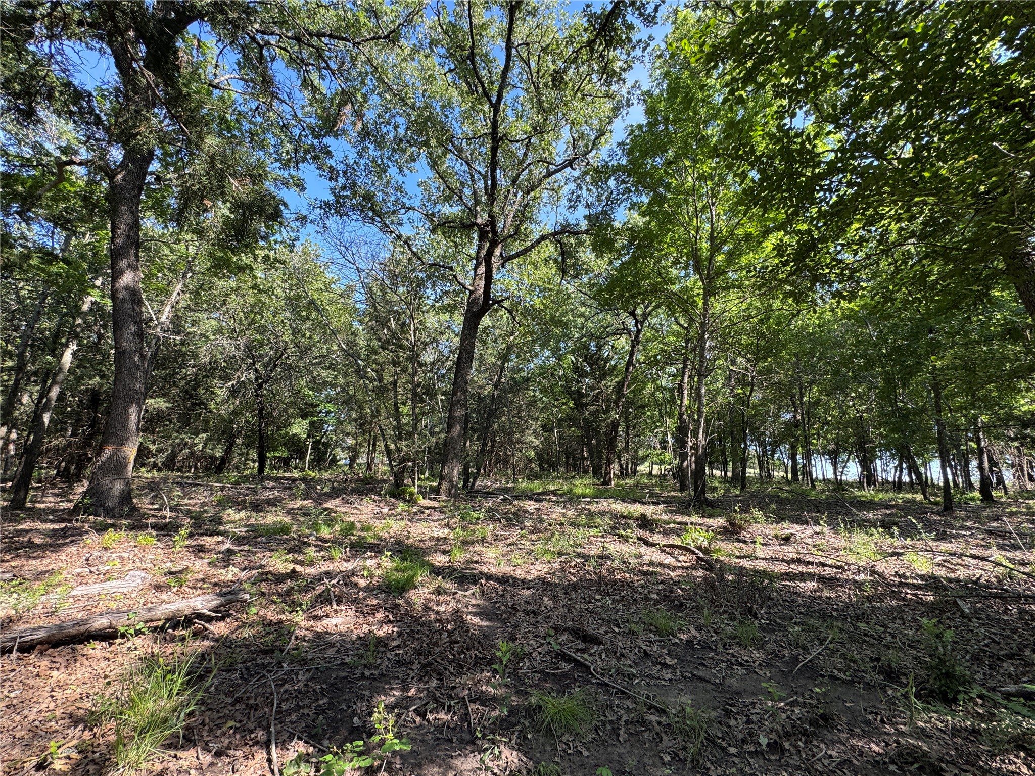 144 Cedar Oak Drive Decatur TX 76234