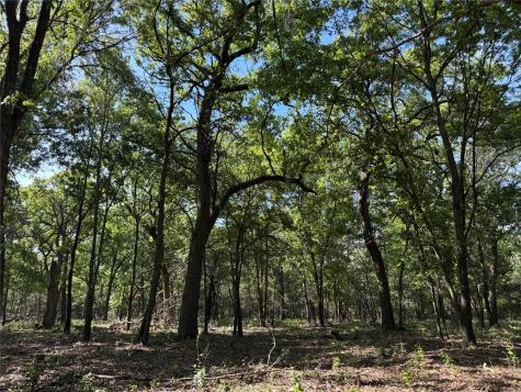 144 Cedar Oak Drive Decatur TX 76234