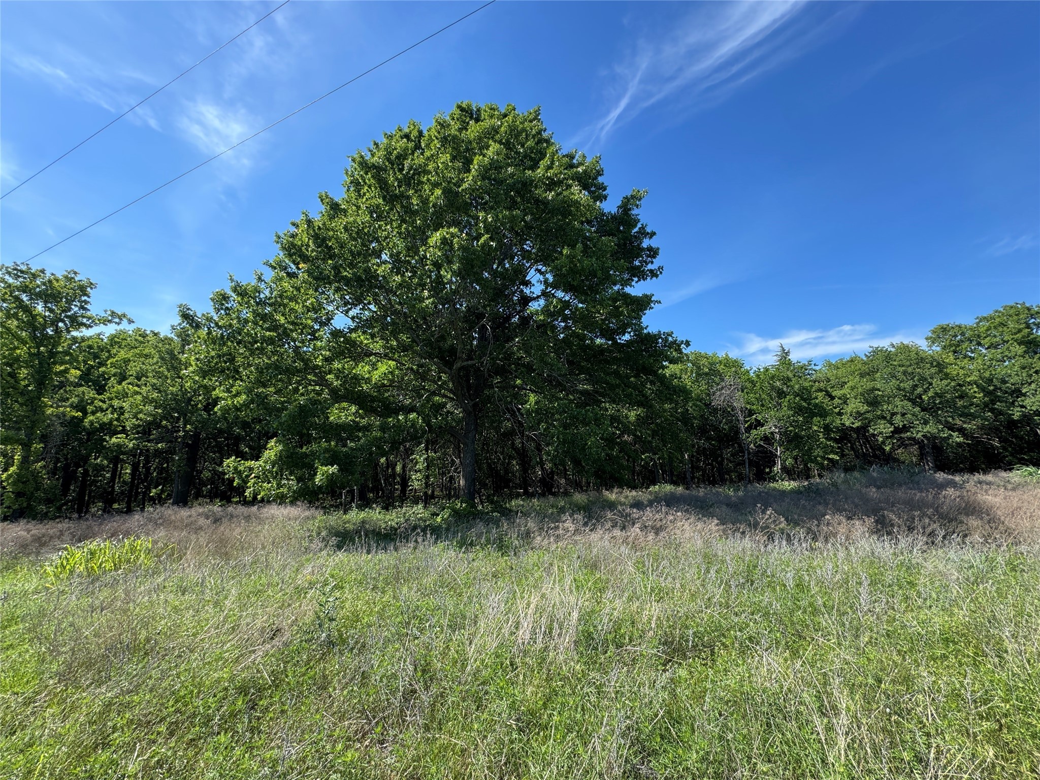 144 Cedar Oak Drive Decatur TX 76234