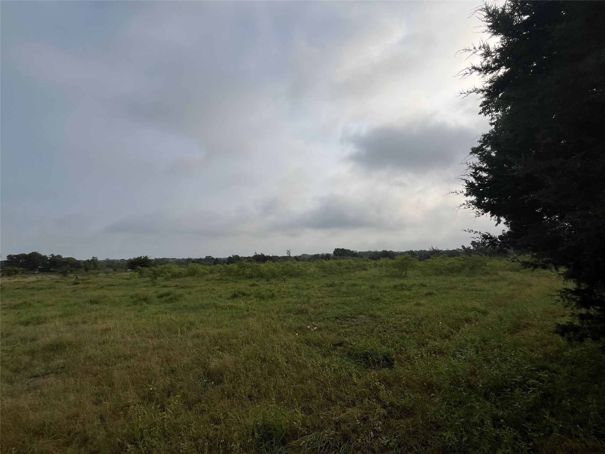 Tbd W Highway 84 Mexia TX 76667