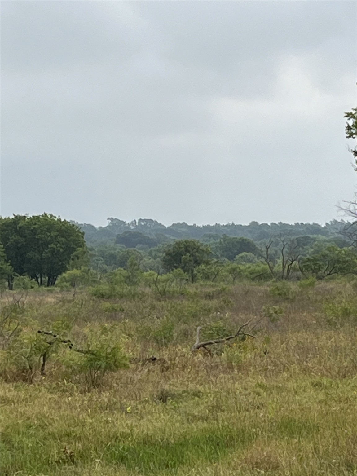 Tbd W Highway 84 Mexia TX 76667
