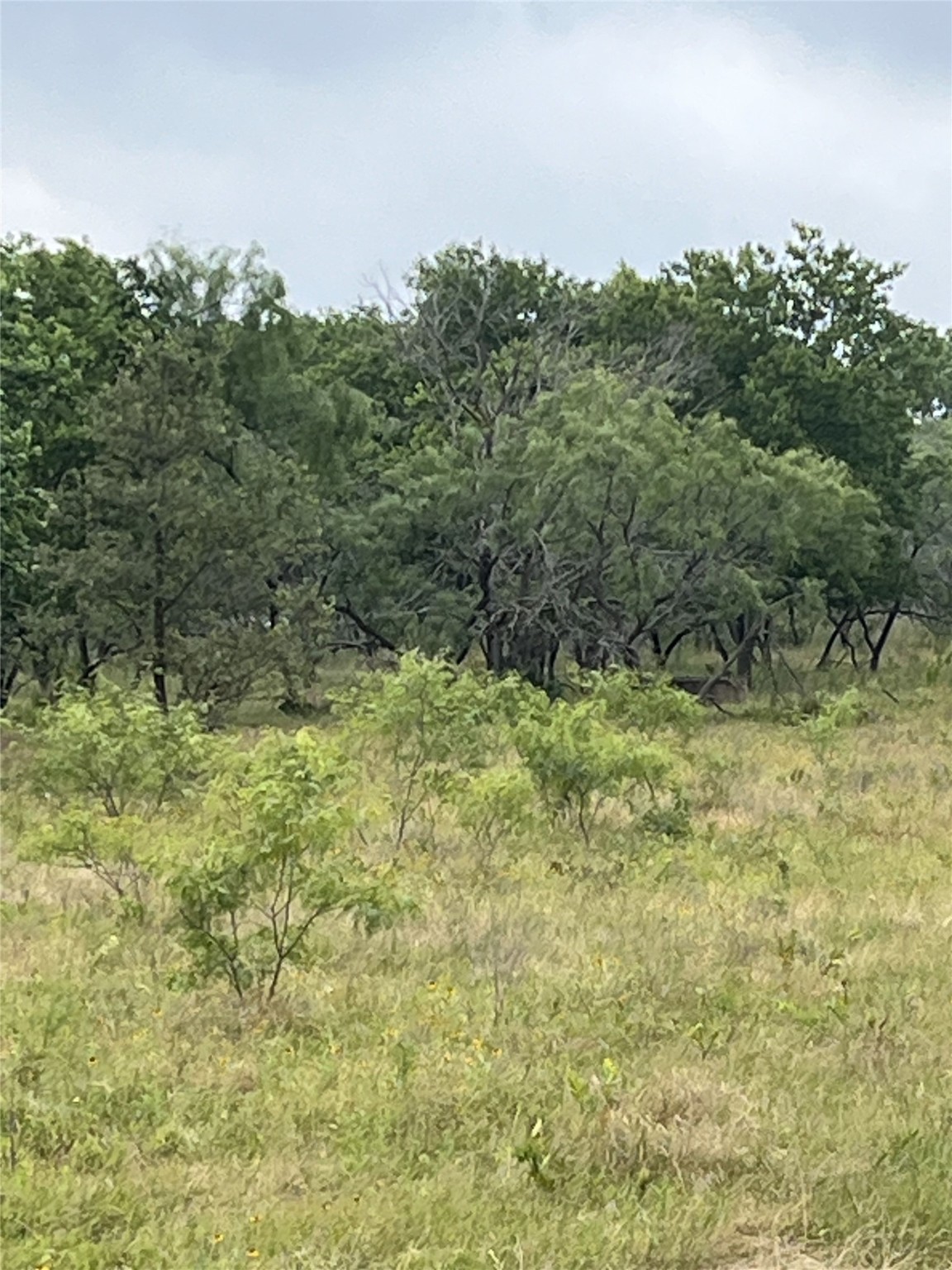 Tbd W Highway 84 Mexia TX 76667