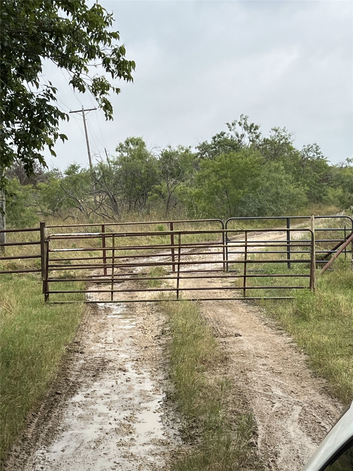 Tbd W Highway 84 Mexia TX 76667