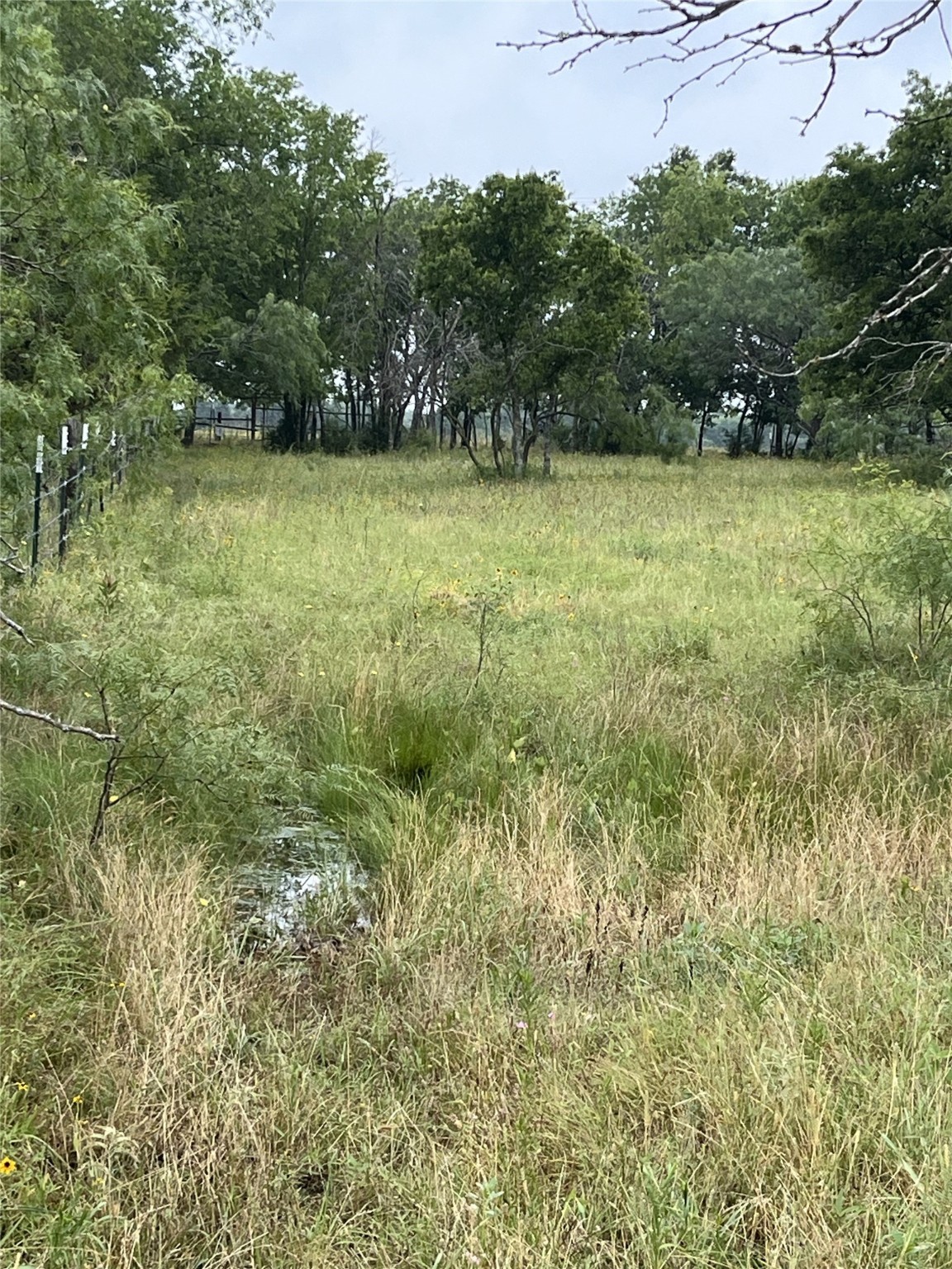 Tbd W Highway 84 Mexia TX 76667