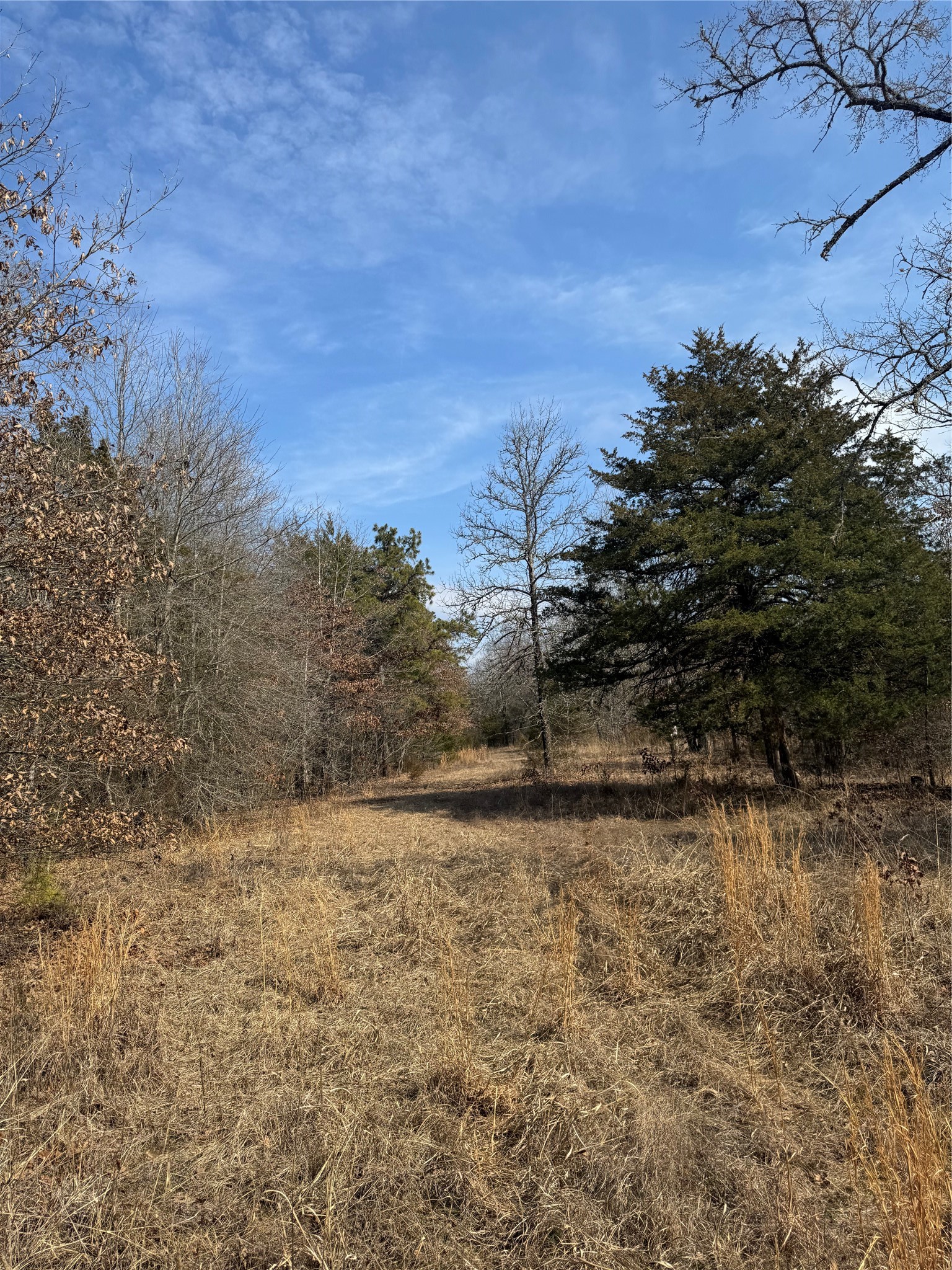 0000 E 1931 Road Antlers OK 74523