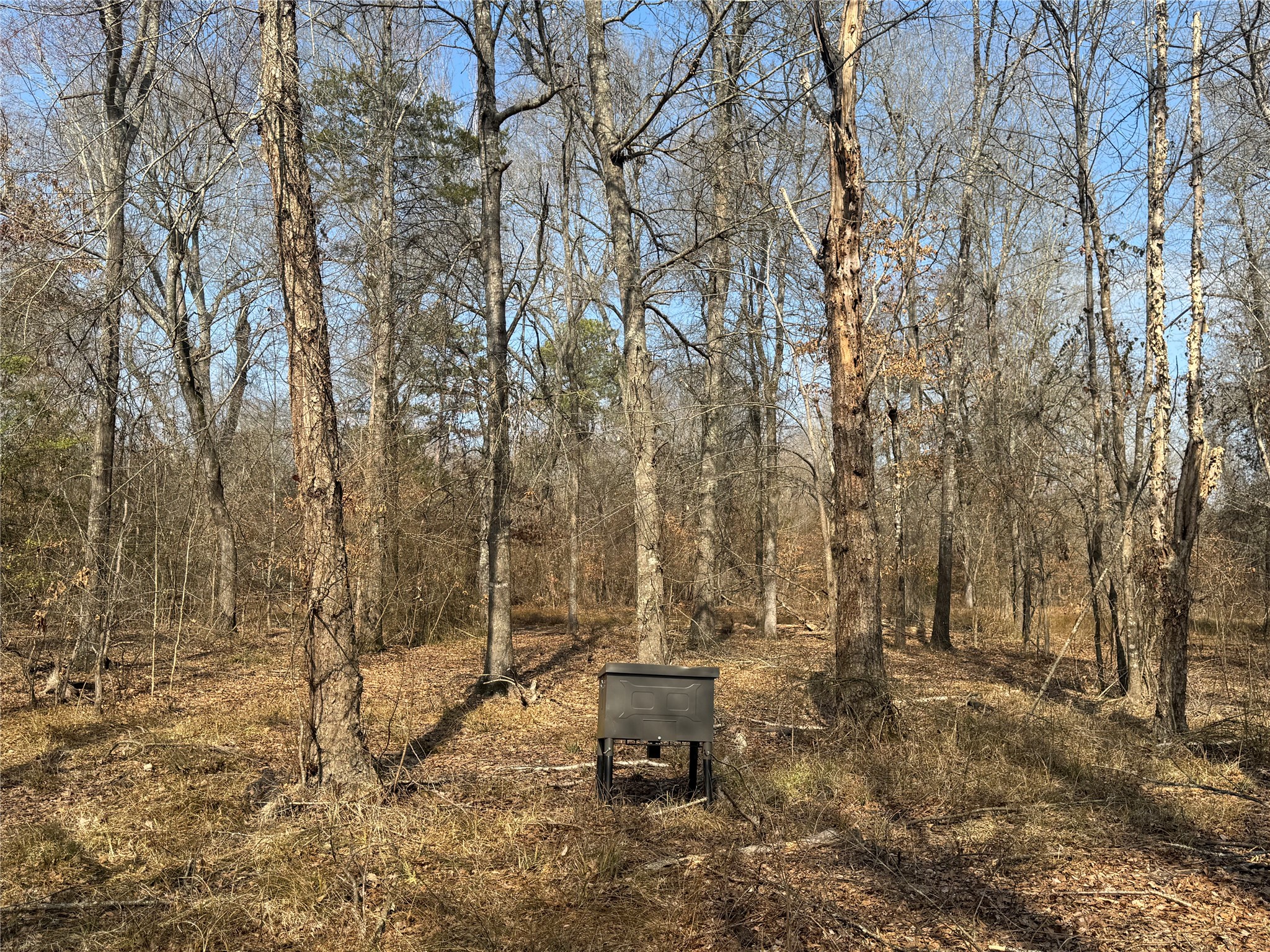 0000 E 1931 Road Antlers OK 74523
