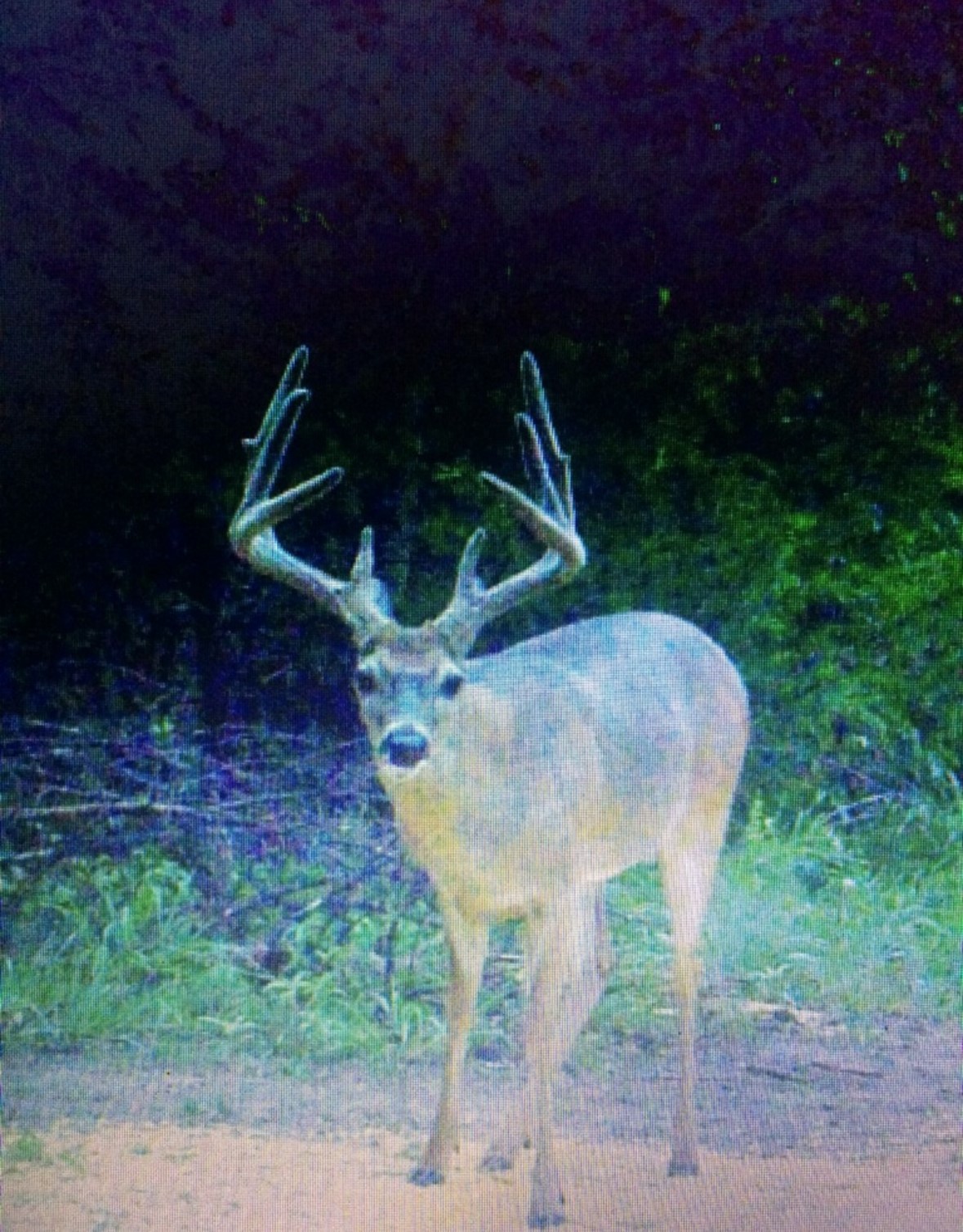 0000 E 1931 Road Antlers OK 74523