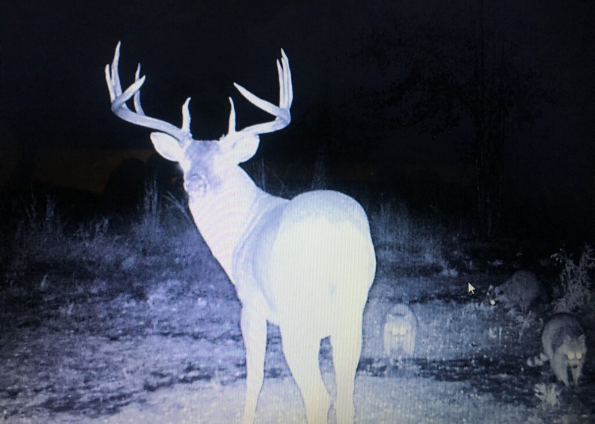 0000 E 1931 Road Antlers OK 74523