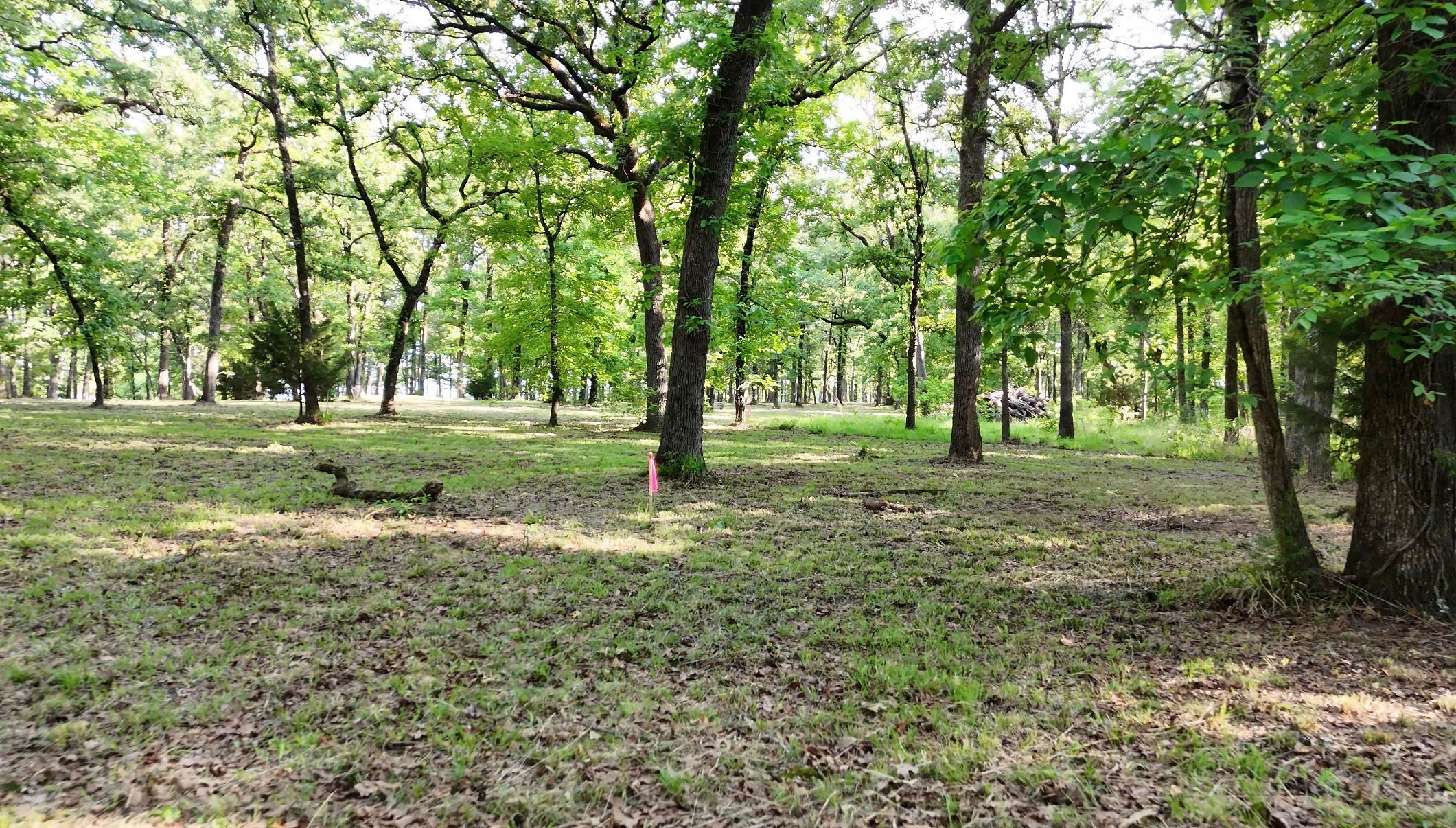 Lot 62 Anchor Point Quinlan TX 75474