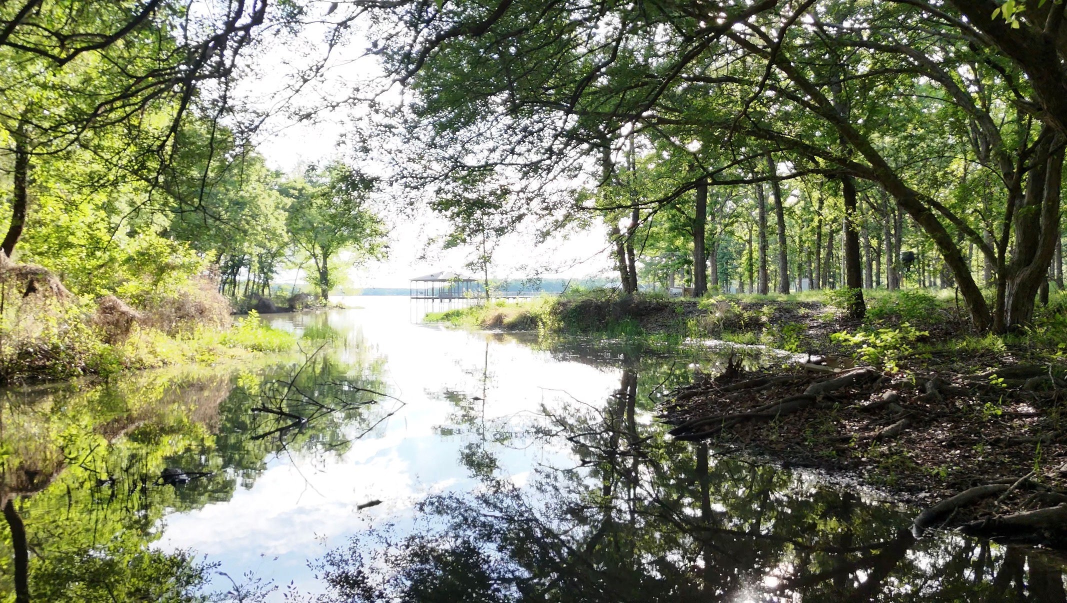 Lot 62 Anchor Point Quinlan TX 75474