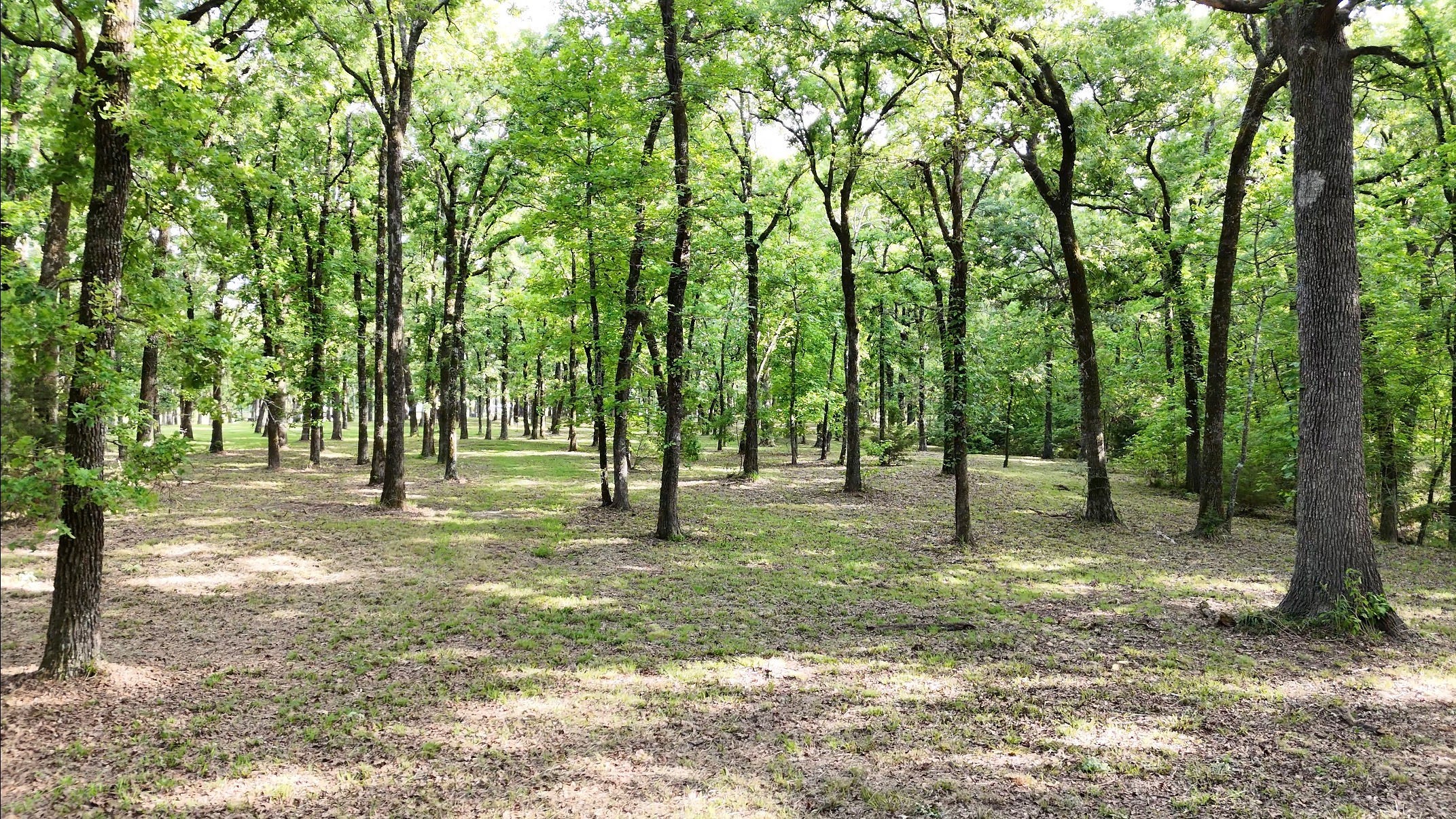 Lot 62 Anchor Point Quinlan TX 75474