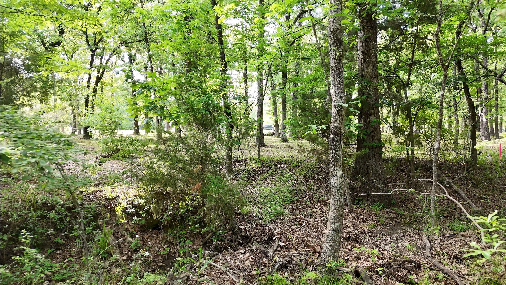 Lot 62 Anchor Point Quinlan TX 75474