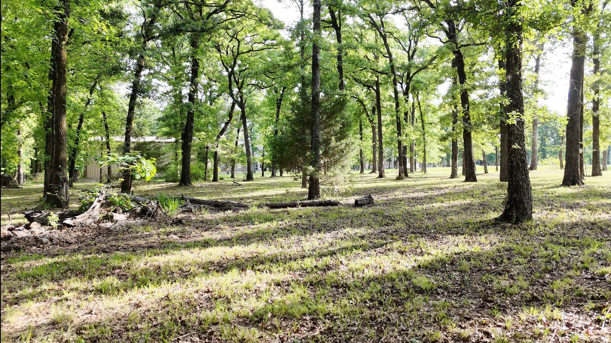 Lot 62 Anchor Point Quinlan TX 75474