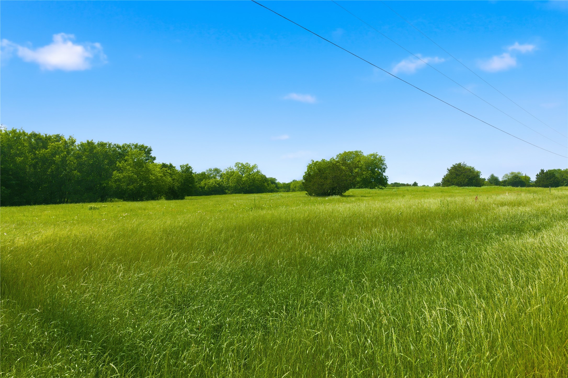 Lot 10 County Road 3401 Lone Oak TX 75453