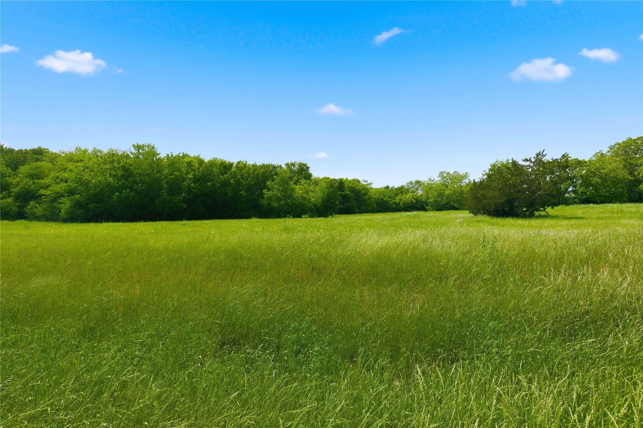 Lot 10 County Road 3401 Lone Oak TX 75453