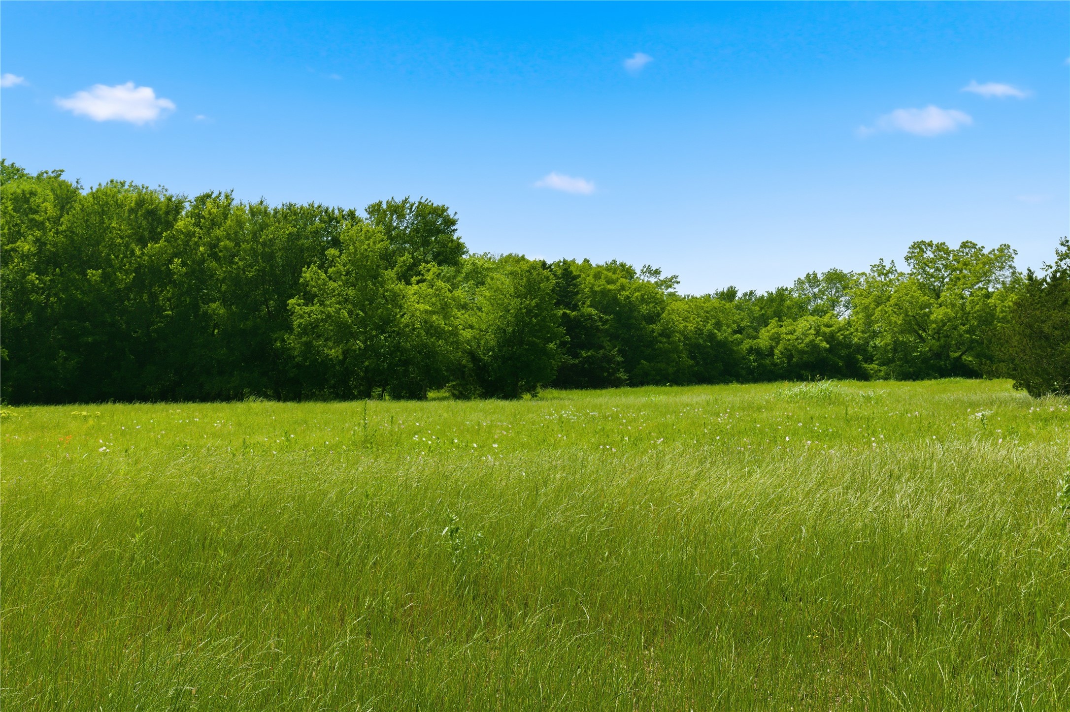 Lot 10 County Road 3401 Lone Oak TX 75453